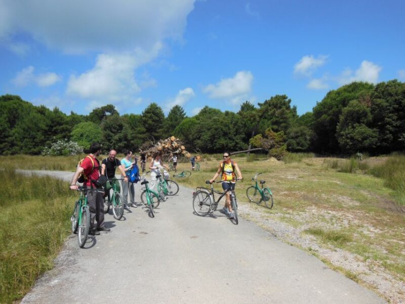 From Pisa to Lucca along Puccini cycling path - FAQs