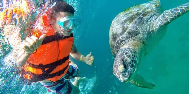 From Piura | Excursion to Mancora + Swimming with turtles - From Piura | Excursion to Mancora + Swimming with Turtles: A Full-Day Coastal Adventure