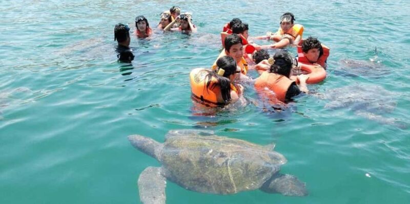 From Piura | Excursion to Mancora + Swimming with turtles - Why This Tour Offers Great Value