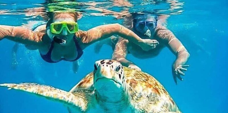 From Piura || Excursion to Mancora + Swimming with turtles - The Beach and Leisure Time