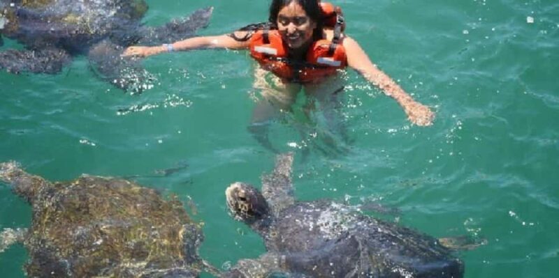 From Piura || Excursion to Mancora + Swimming with turtles - Returning and Reflecting
