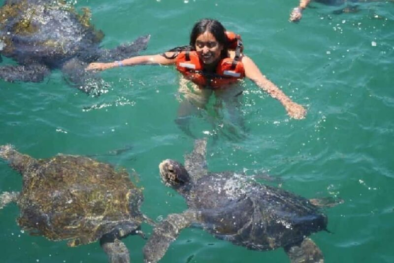 From Piura | Excursion to Mancora + Swimming with turtles - From Piura | Excursion to Mancora + Swimming with Turtles