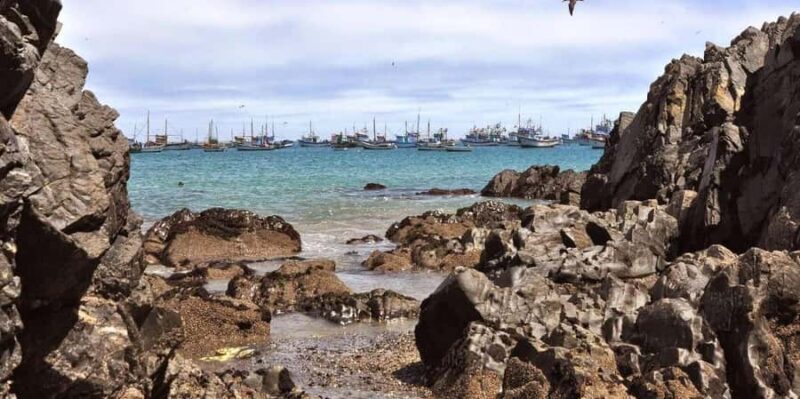 From Piura | Full-day excursion to Paita and Colán - Key Points