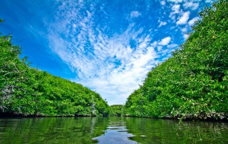 From Piura | Tour to Sechura and Sandboarding - Who Would Love This Tour?