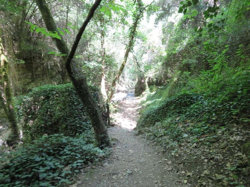 From Platanias: Guided Mountain Half day Trip with snack! - What To Expect on the Tour