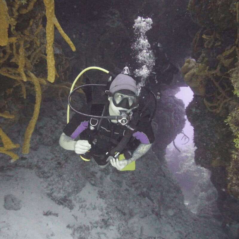 From Playa del Carmen: Cozumel Diving Adventure - Why This Tour Stands Out