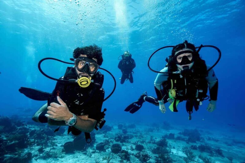 From Playa del Carmen: Cozumel Diving Adventure - Final Thoughts