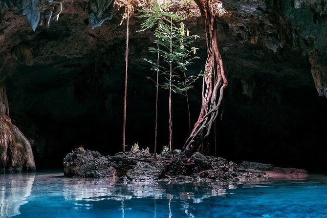 From Playa del Carmen Tour Tulum Adventure - FAQs