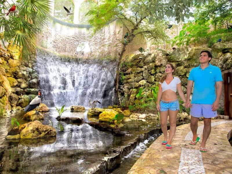 From Playa del Carmen: Xcaret Park All-Inclusive - Frequently Asked Questions