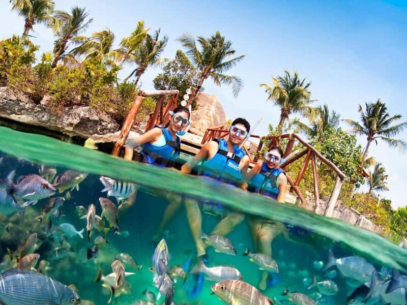 From Playa del Carmen: Xel-Há All-Inclusive Park - Final Thoughts: Is It Worth the Price?