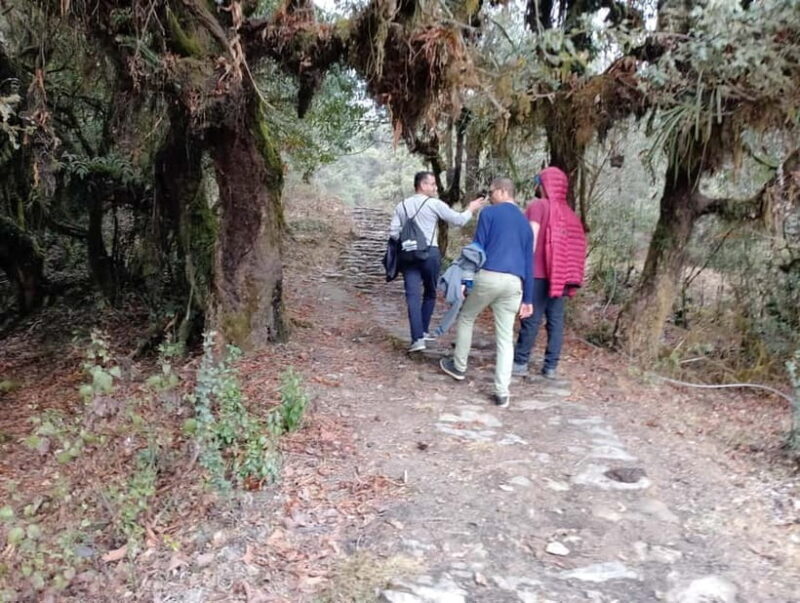 From Pokhara: 2-day Panchase Hill Hiking Tour & Return Drive - From Pokhara: 2-day Panchase Hill Hiking Tour & Return Drive