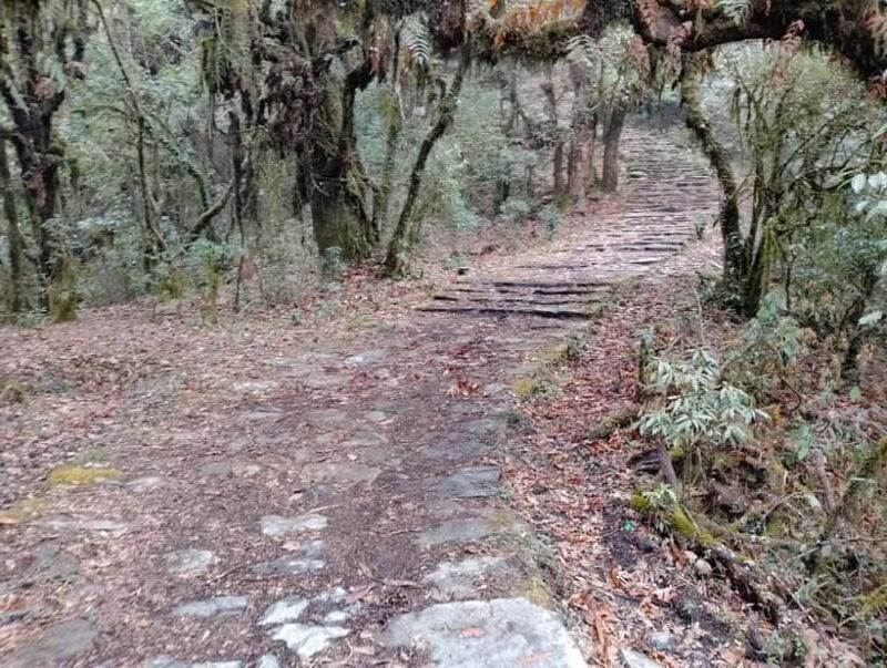 From Pokhara: 2-day Panchase Hill Hiking Tour & Return Drive - Frequently Asked Questions