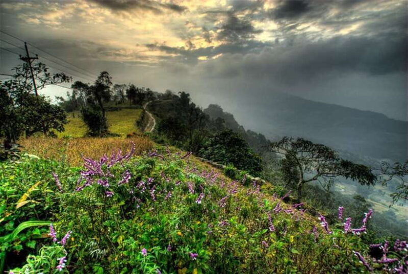 From Pokhara: 3 Day Dhampus-Sarangkot Trek - An In-Depth Look at the 3-Day Dhampus-Sarangkot Trek