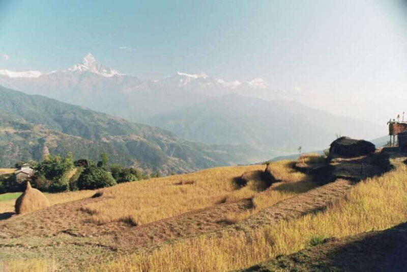 From Pokhara: 3 Day Dhampus-Sarangkot Trek - Authentic Experiences and Traveler Insights