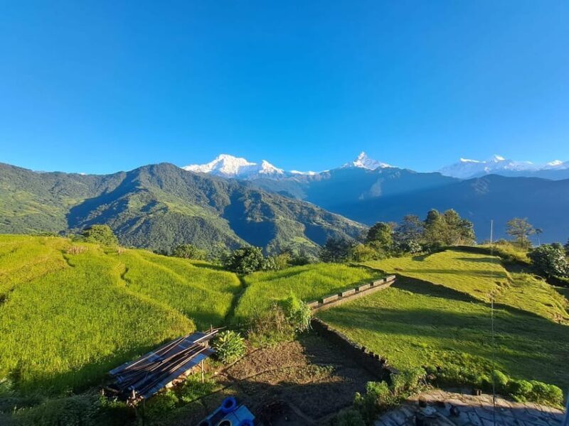 From Pokhara: 3-Day Ghorepani Poonhill Short Trek - Final thoughts