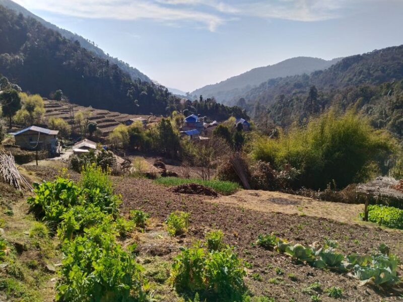 From Pokhara: 4-Day Annapurna and Poon Hill Himalayan Trek - From Pokhara: 4-Day Annapurna and Poon Hill Himalayan Trek