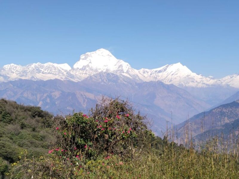 From Pokhara: 4-Day Annapurna and Poon Hill Himalayan Trek - Key Points