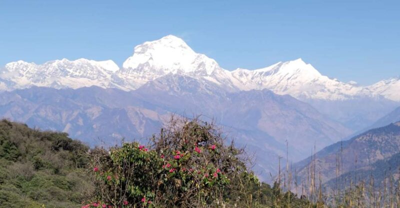 From Pokhara: 4-Day Annapurna and Poon Hill Himalayan Trek - The Experience and What It Means for You