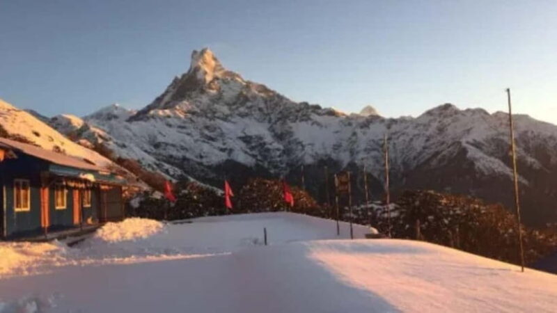 From Pokhara: 4-Day Mardi Himal Base Camp Trek - Real Experiences from Trekkers