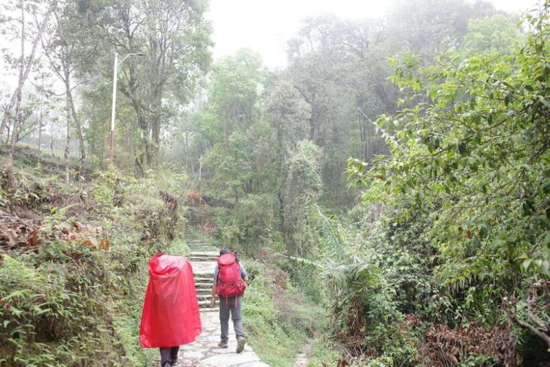 from Pokhara: 4-Day Mardi Himal Trek with Guide - Key Points