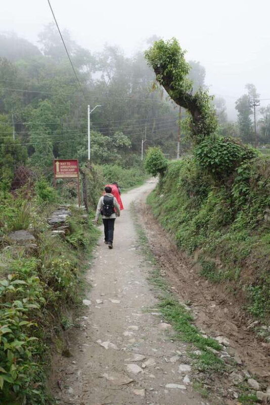 from Pokhara: 4-Day Mardi Himal Trek with Guide - What’s Included and What’s Not