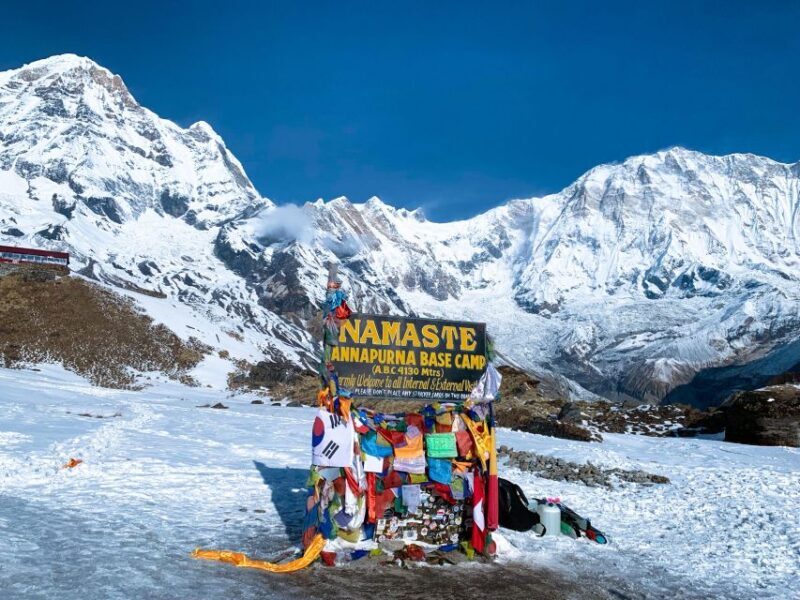 From Pokhara: 5 Day Annapurna Base Camp Trek - The Complete Experience: A Detailed Review