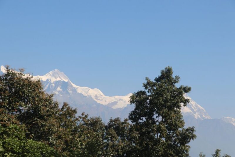 From Pokhara: 5-Day Annapurna Base Camp Trek - An In-Depth Look at the 5-Day Annapurna Base Camp Trek