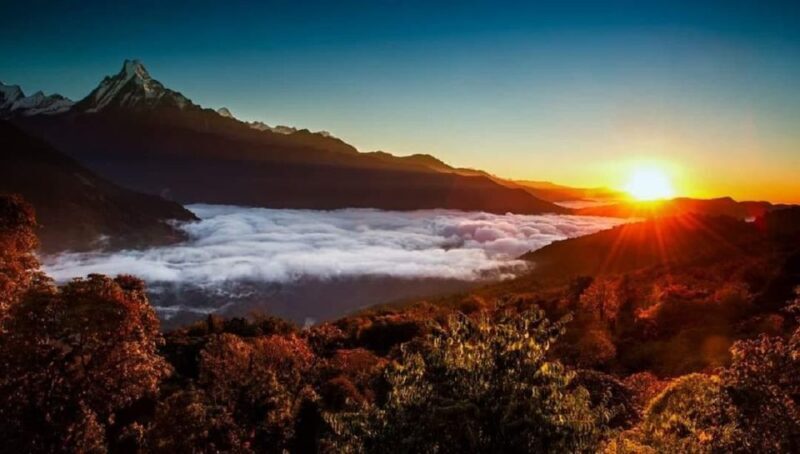 From Pokhara: 5-Day Annapurna Basecamp Trek with Hot Springs - Key Points