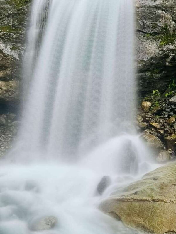 From Pokhara: 7-Day Annapurna Base Camp and Chitwan Tour - FAQ