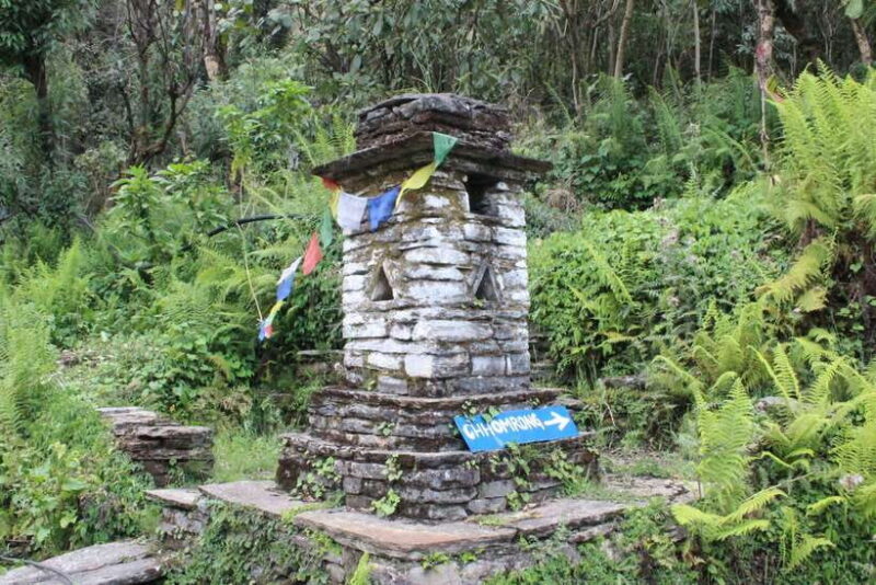 from Pokhara: 7-Day Annapurna Base Camp Trek - FAQ