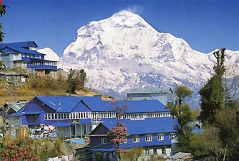 From Pokhara 7 Days (ABC) Trek With Poon Hill Sunrise - Key Points