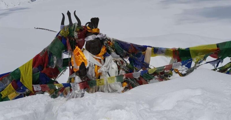 From Pokhara: 7 Days Annapurna Basecamp Trek - From Pokhara: 7 Days Annapurna Basecamp Trek — A Deep Dive