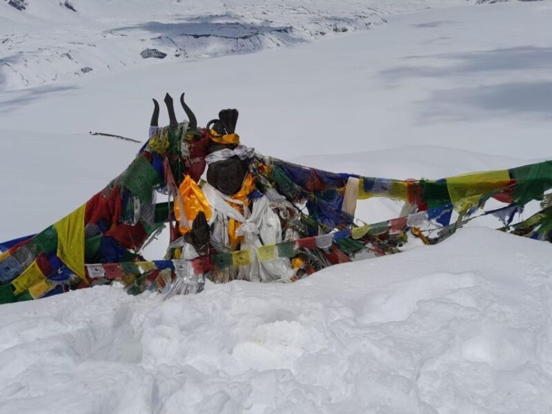 From Pokhara: 7 Days Annapurna Basecamp Trek - Practical Details and Insights