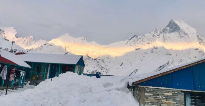 From Pokhara: 7 Days Budget backpackers group ABC Trek - Exploring Nepal: A Detailed Look at the ABC Trek