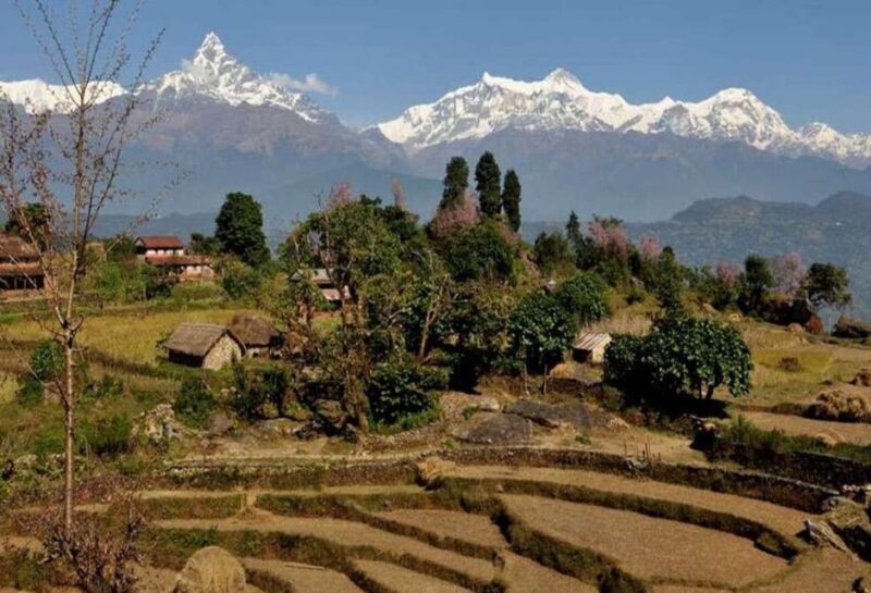 From Pokhara: Annapurna View Day Hike - Who Is This Tour Best For?