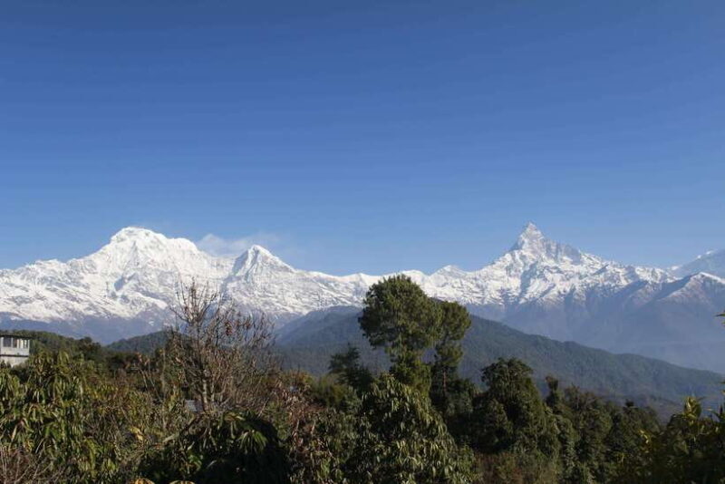 From Pokhara: Australian Camp and Dhampus Guided Day Hike - A Detailed Look at the Tour Experience