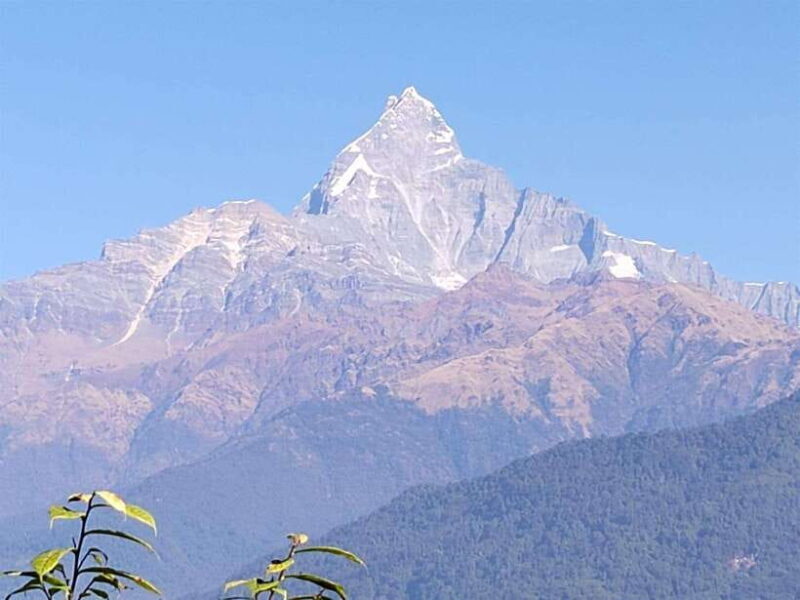 From Pokhara: Australian Camp and Dhampus Hiking Tour - Key Points