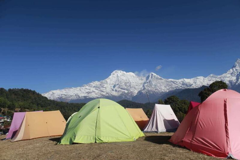 From Pokhara: Australian Camp and Dhampus Hiking Tour - Why Choose This Tour?
