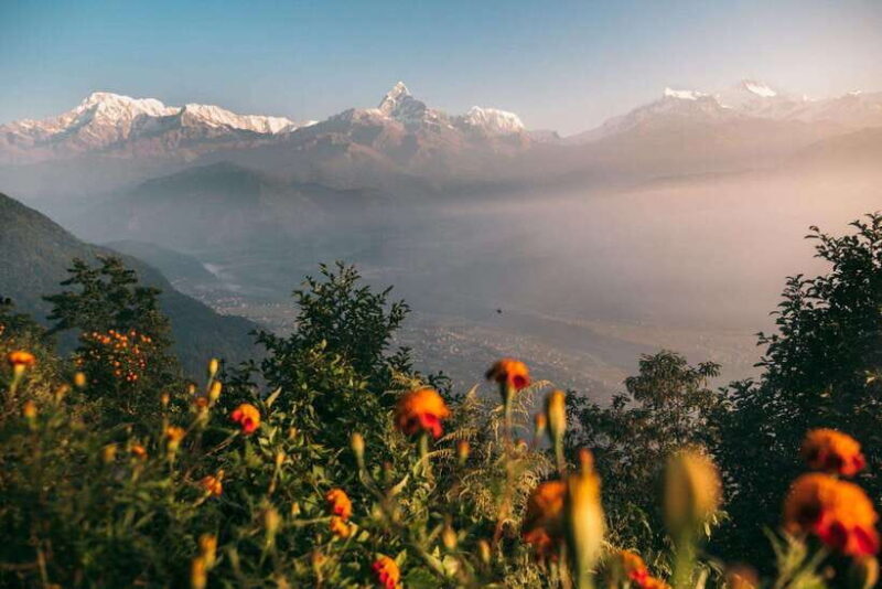 From Pokhara: Beautiful Peace Pagoda & Shiva Statue Day Hike - Key Points