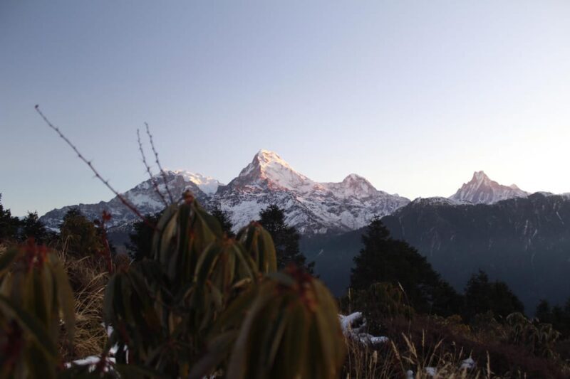From Pokhara Budget: 2 Day 1 Night Ghorepani Poon Hill Trek - Who Should Consider This Trek?