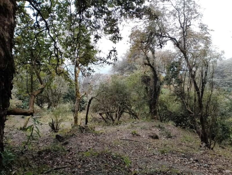 From Pokhara: Mardi Himal Base Camp 4-Day Trek with Food - FAQ