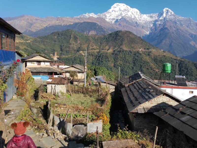From Pokhara: Private 5-Day AnnapurnaBasecamp Trek - Detailed Review of the 5-Day Annapurna Base Camp Trek