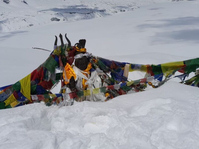 From Pokhara: Private 5-Day AnnapurnaBasecamp Trek - Authentic Cultural Encounters