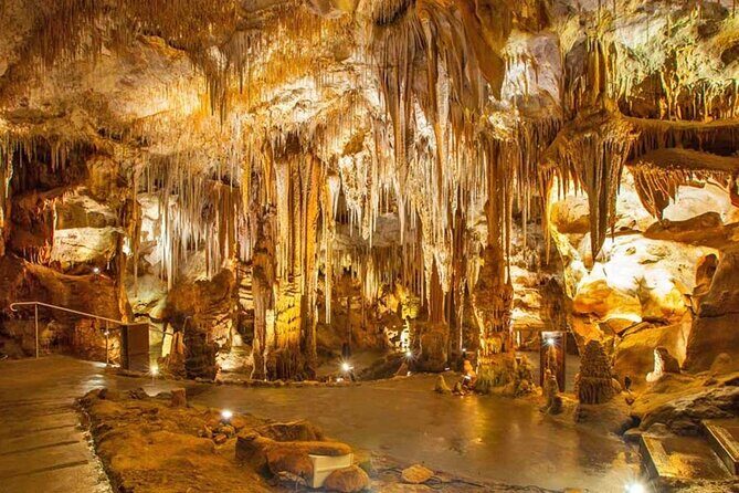 From Polignano - Cave Tour Between Land and Sea - An In-Depth Look at the Tour Experience
