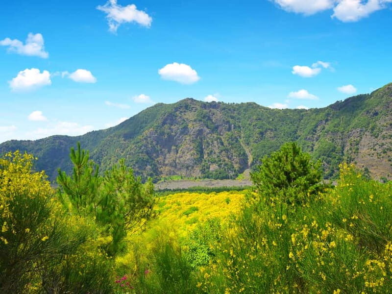 From Pompeii: Mount Vesuvius Hike & Tour by Bus - Detailed Review of the Mount Vesuvius Hike & Tour