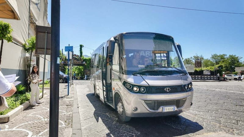 From Pompeii: Mount Vesuvius with bus, ticket and audioguide - What’s Included and What’s Not