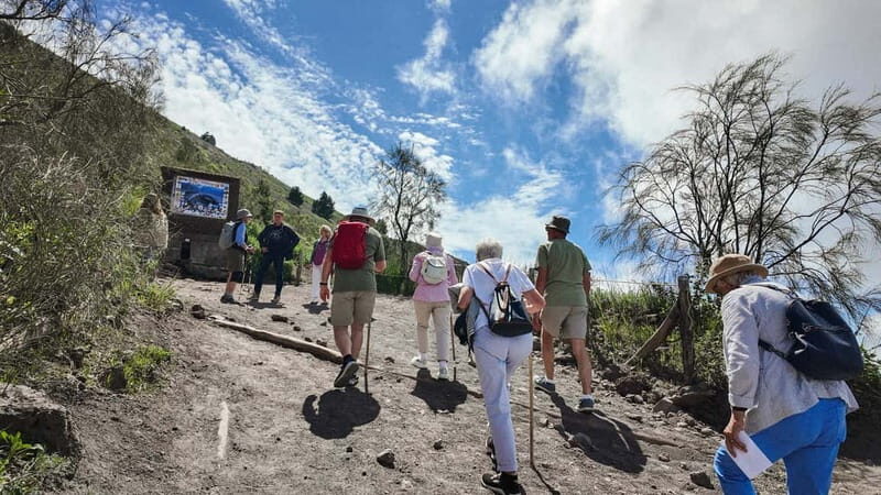From Pompeii: Mount Vesuvius with bus, ticket and audioguide - Authentic Traveler Insights and Considerations