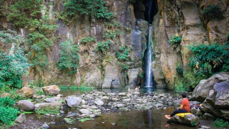 From Ponta Delgada: Guided Walking Tour to Salto do Cabrito - Who Should Consider This Tour?