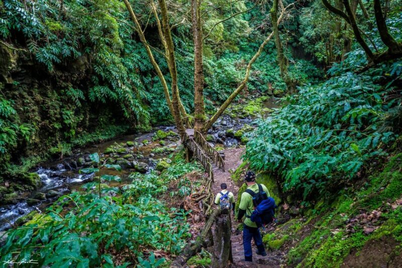From Ponta Delgada: Hiking Moinho do Félix - Who Should Consider This Tour?