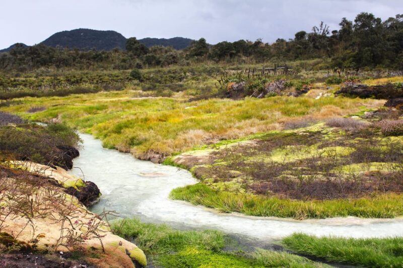 From Popayán: Day Trip to Puracé National Park - The Detailed Breakdown